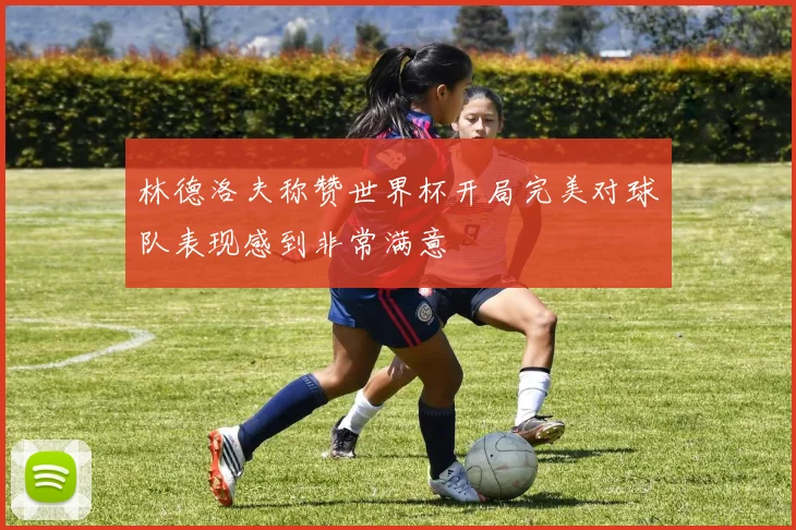林德洛夫称赞世界杯开局完美对球队表现感到非常满意